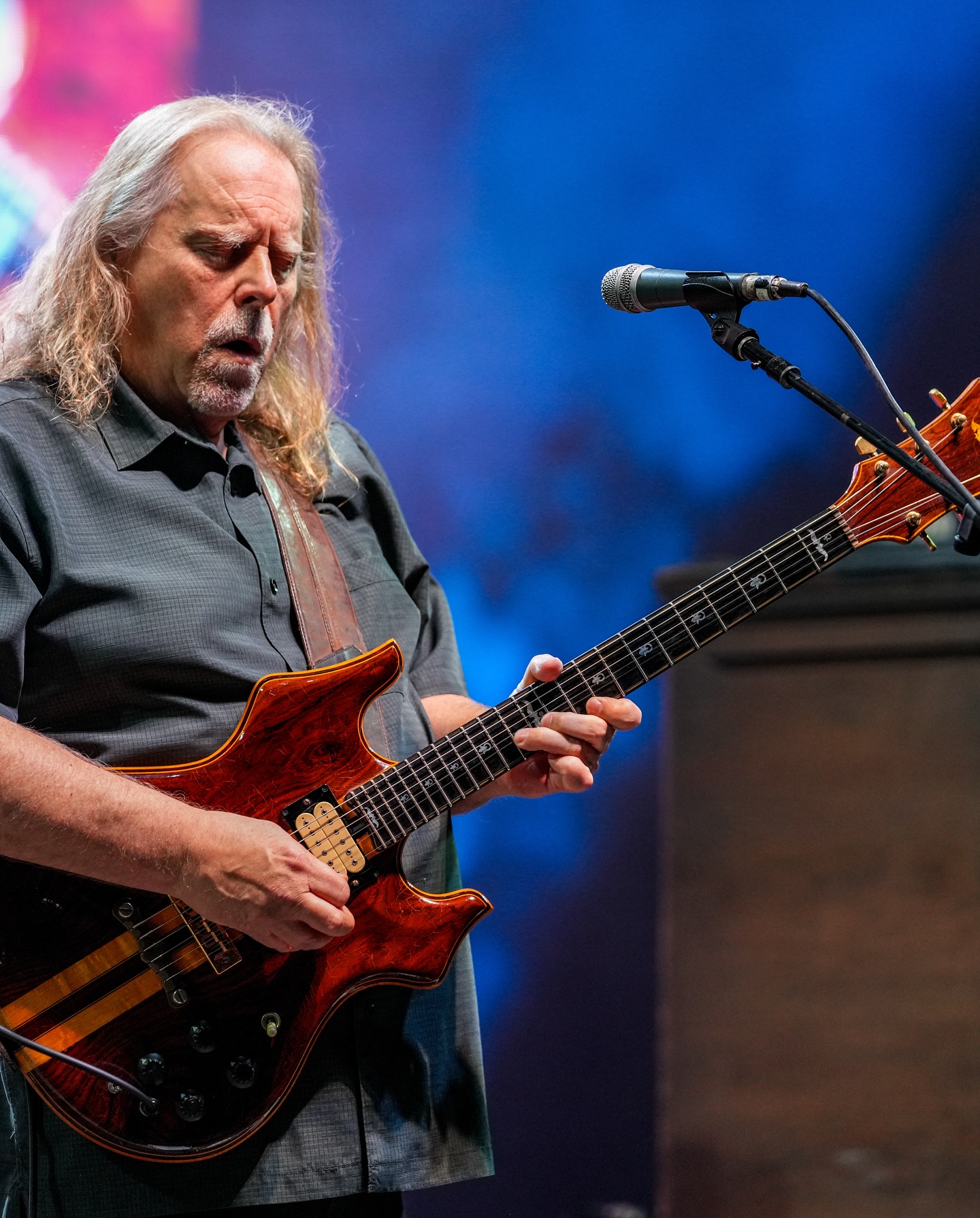Warren Haynes